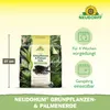 Neudorff NeudoHum Grünpflanzen- & PalmenErde 10 Liter Produktbild-Vorschau 3
