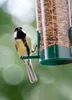 dobar Kleine Futtersäule mit Anflugstangen, Futterspender Produktbild-Vorschau 4
