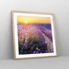 Gerahmtes Poster - Rahmen in heller Eiche - Feld Lavendel Produktbild-Vorschau 8