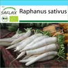 SAFLAX Dárková sada - BIO - Ředkev - Japonský Daikon - Náhled obrázku produktu 10