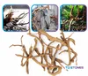 Legno per acquario Red Moor decorazione naturale, rami Anteprima dell’immagine prodotto 14
