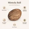 Mintola Ball natur 8-12cm Cerbera odollam Dekofrucht Produktbild-Vorschau 3