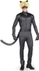 A person wearing a Cat Noir costume from Miraculous. Anteprima dell’immagine prodotto