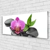 Acrylglasbilder 125x50 Wandbild Druck Blume Steine Kunst Produktbild-Vorschau 2