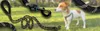 Kuketo | Hundeleine 3 m – Stabile Trainingsleine Mit Produktbild-Vorschau 7