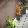 Osłona patio, ogrodzenie, siatka, balkon, mata Podgląd zdjęcia produktu 3