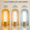 Lichttherapielampe 10000 Lux, 360° Tageslichtlampe in Produktbild-Vorschau 3