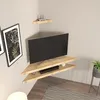 A corner of a room with a TV mounted on corner shelves, decorated with framed pictures and a plant. Produktbild-Vorschau