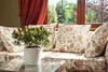 A potted plant sits on a glass table in front of a couch with floral cushions, next to a window with red curtains. Produktbild-Vorschau