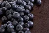 Erde für Heidelbeeren und Preiselbeeren 50l - Biovita sauer Produktbild-Vorschau 9
