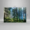 Bild auf Leinwand - Leinwandbild - Einteilig - Wald Produktbild-Vorschau 3