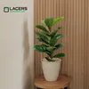 Lacers SMARAGDLINE künstliche Fiddle Fig Pflanze 60cm - 2er Produktbild-Vorschau 4