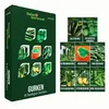 Gurkensamen Set - 8 Sorten Samen - Saatgut Sortiment - Produktbild-Vorschau 1