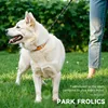 PETCOOZ 3M vodítko pre psov z pevného nylonu s reflexnými Náhľad obrázku produktu 3