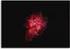 Leinwandbild nachtblume 120x80 cm Feeby rosa wandbild Produktbild-Vorschau 3