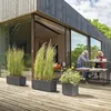 Jardinière Muret Millennium R, 59x25xH25 cm, Anthracite, 26 Voir les images du produit 2