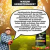 Greenyp Herbstrasendünger Langzeit I 30kg / 900m² I mit 90 Produktbild-Vorschau 7