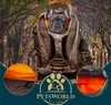 Petsworld Hunderucksack für Hunde bis 10 kg, flugtauglich & Produktbild-Vorschau 7