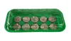 Sesua Anzuchtset inkl. 10 Quelltabs Quelltabletten Produktbild-Vorschau 2