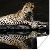 MuchoWow® Poster Leopard - Wasser - Wald 75x75 cm - Wand Produktbild-Vorschau 1