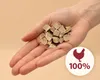 Mrazené sušené kuracie pečienkové kúsky pre psov a mačky Náhľad obrázku produktu 2
