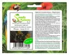 10x Helichrysum italicum Italienische Strohblume Garten Produktbild-Vorschau 1