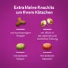 Whiskas Junior mit Huhn – Futter für Kätzchen – 1,4 kg Produktbild-Vorschau 6