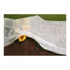 Tessuto non tessuto per giardino 30 g/m² 1 m x 10 m Anteprima dell’immagine prodotto 2