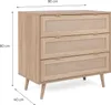 Finish Komoda Bali 03A Sonoma-Eiche und Raffia-Druck Podgląd zdjęcia produktu 18