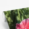 MuchoWow® Fototapete für Wohnzimmer oder Schlafzimmer Produktbild-Vorschau 3