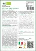 SAFLAX  -- Soia - fagioli Edamame  - 8 semi - Glycine Anteprima dell’immagine prodotto 3