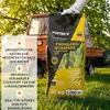 FUXTEC Rasendünger Frühling/Sommer FX-RDFS20 | Produktbild-Vorschau 4