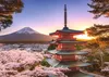 Flores de cerezo en Japón, Ravensburger, 12000582 Vista previa de la imagen del producto 15