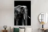 MuchoWow® Poster Elefant mit vor schwarzem Hintergrund - Produktbild-Vorschau 4
