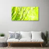 Acrylglasbilder 100x50 Wandbild Druck Gras Natur Produktbild-Vorschau 3