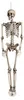 Boland 74515, Decoratie voor de deur, Halloween, Skelet, Productafbeelding-voorbeeld 16