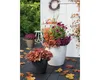 LECHUZA-Pot de plantes CLASSICO Color 35 gris ardoise | Pot Voir les images du produit 15