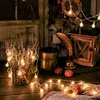 A cozy, dimly lit scene with decorative items, including string lights, a lantern, and a feather quill. Náhled obrázku produktu