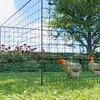 A chicken fence enclosure in a garden with chickens and red roses. Anteprima dell’immagine prodotto