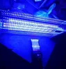 NOVEEN Mosquito lamp IKN 40 2X20 wat black Podgląd zdjęcia produktu 9