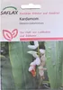 SAFLAX - Zioła - Kardamon - 20 Nasiona - Elettaria Podgląd zdjęcia produktu 10