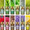 Huiles essentielles, coffret de 12 pièces, aromathérapie Voir les images du produit 2