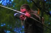 An elf with a bow and arrow in a forest. Podgląd zdjęcia produktu