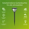 Lampada da giardino Vapora Solar LED 200lm Nero Anteprima dell’immagine prodotto 8