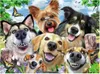 Ravensburger puzzel, 500 stukjes, "Selfie Dogs Delight", Productafbeelding-voorbeeld 2
