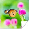 MuchoWow® Poster Landleben - Schmetterling - Distel - Blume Produktbild-Vorschau 1