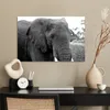 MuchoWow® Poster Elefant - Tiere - Schwarz - Weiß - Natur Produktbild-Vorschau 3