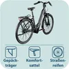 Tretwerk Amber Nexus E Bike Damen 28 Zoll Elektrofahrrad Produktbild-Vorschau 8