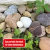 Die drei ??? Geheimversteck (Metalldose) Produktbild-Vorschau 6