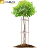 KADAX Baumstütze 130 cm aus robustem Holz, Baumpfahl zur Produktbild-Vorschau 5
